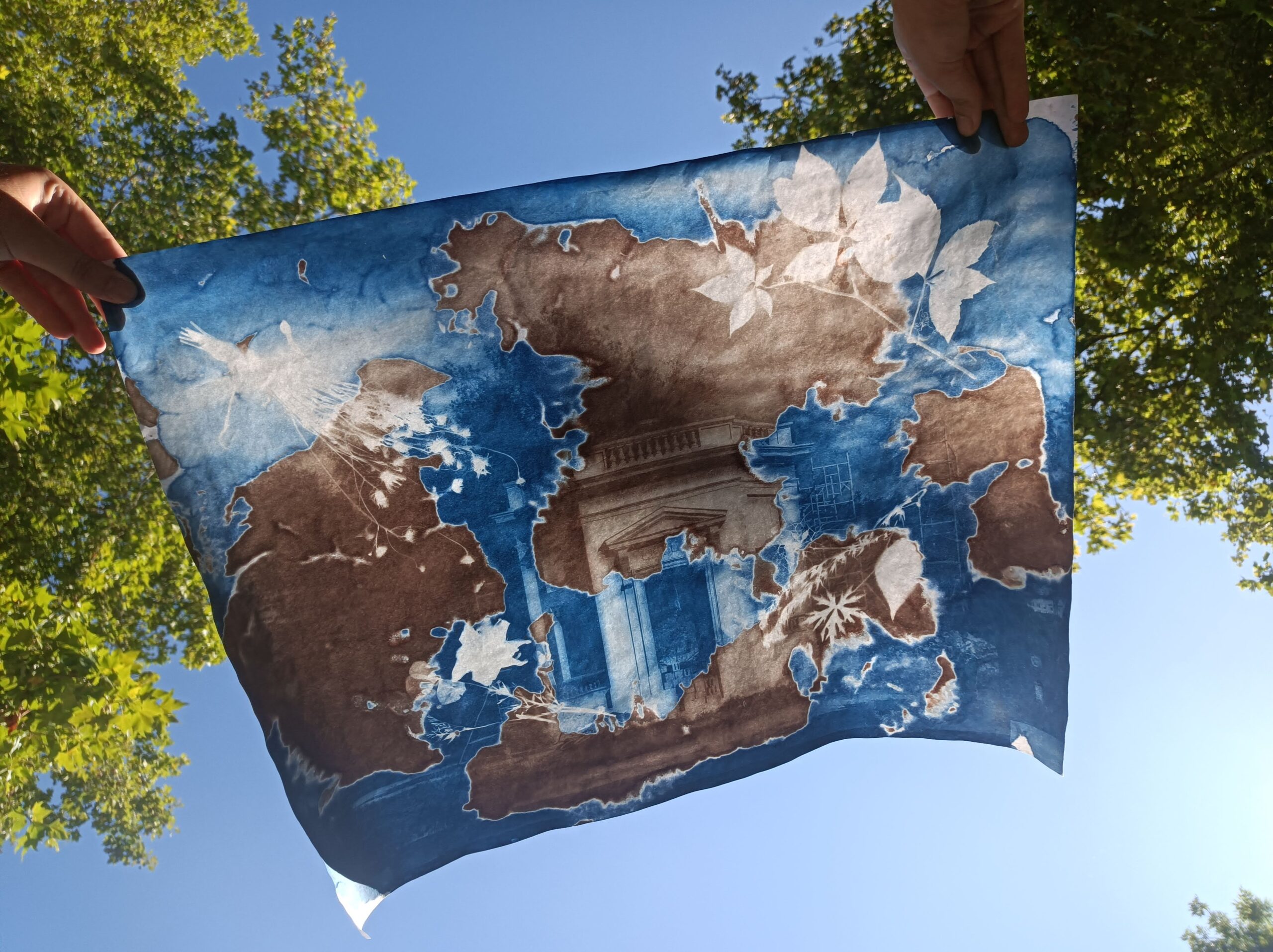 cyanotype MIXTE atelier 02