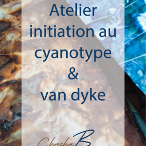 Initiation cyanotype et Van Dyke – Chacha B Créations