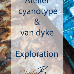 Atelier avancé cyanotype et Van Dyke – Stage d’expérimentation en photographie alternative